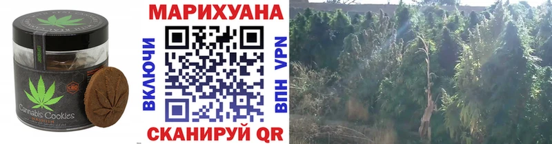 Еда ТГК конопля Родники