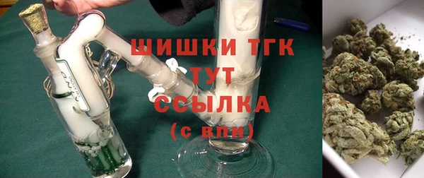 скорость Щигры