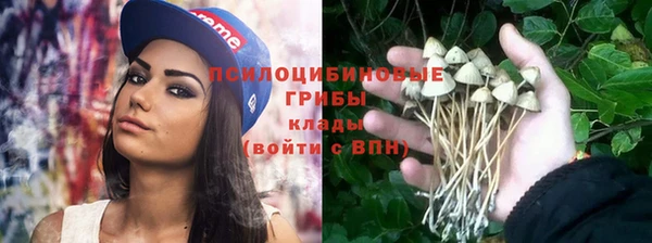 скорость Щигры